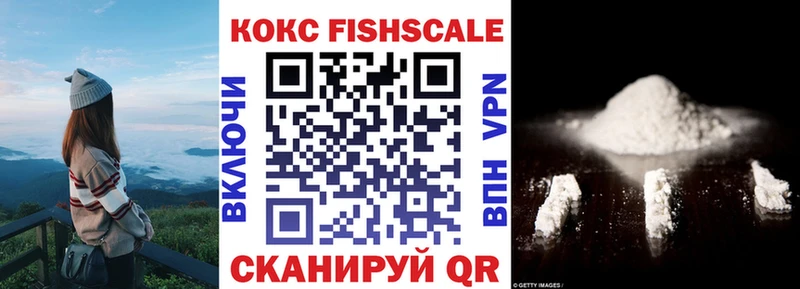 где купить   Новомосковск  КОКАИН Fish Scale 