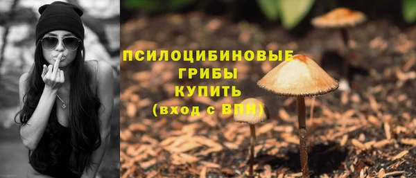 гидра Майский