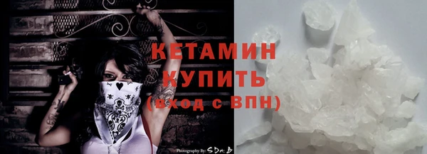 прущие грибы Медвежьегорск