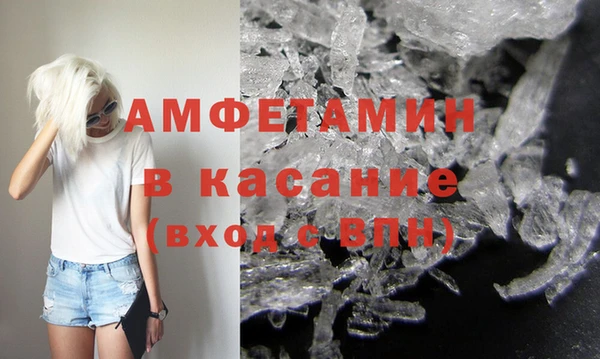 прущие грибы Медвежьегорск