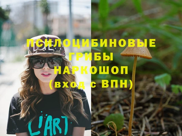 прущие грибы Медвежьегорск