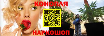 стаф Кунгур