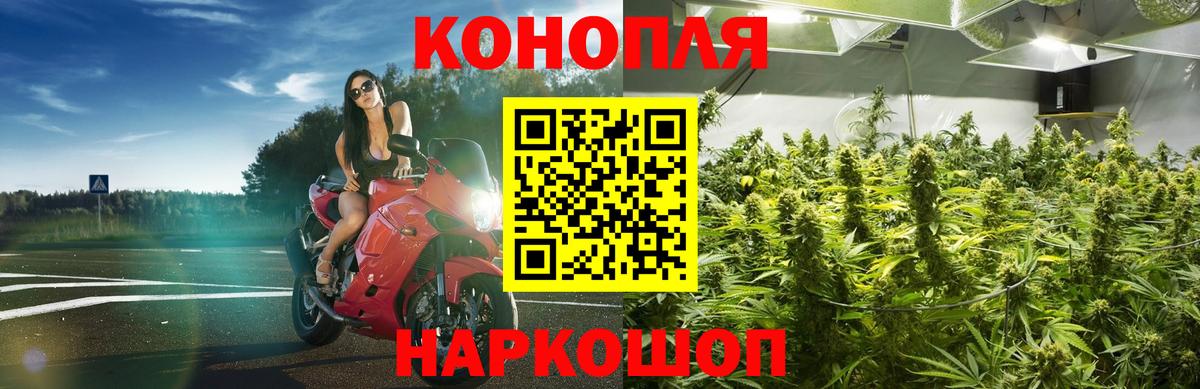 Новомосковск  Бошки Шишки планчик  Бошки марихуана конопля  Конопля сатива  Вход с VPN 